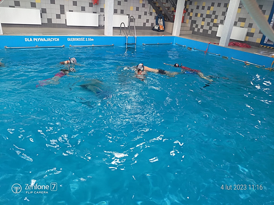 Hokej pod wodą Walenie Siemianowice Śląskie Trening 4 II 2023. Koniec Walenia czyli Amatorska Liga Hokeja Pod Wodą